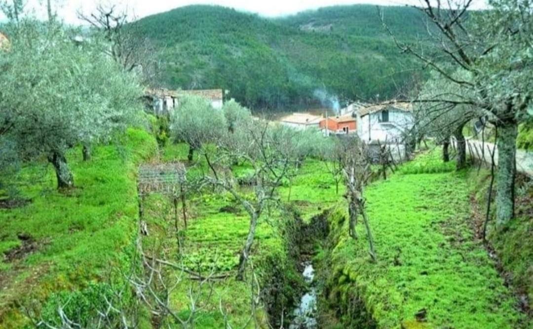Hotel Rural Cristania Caminomorisco Exteriör bild